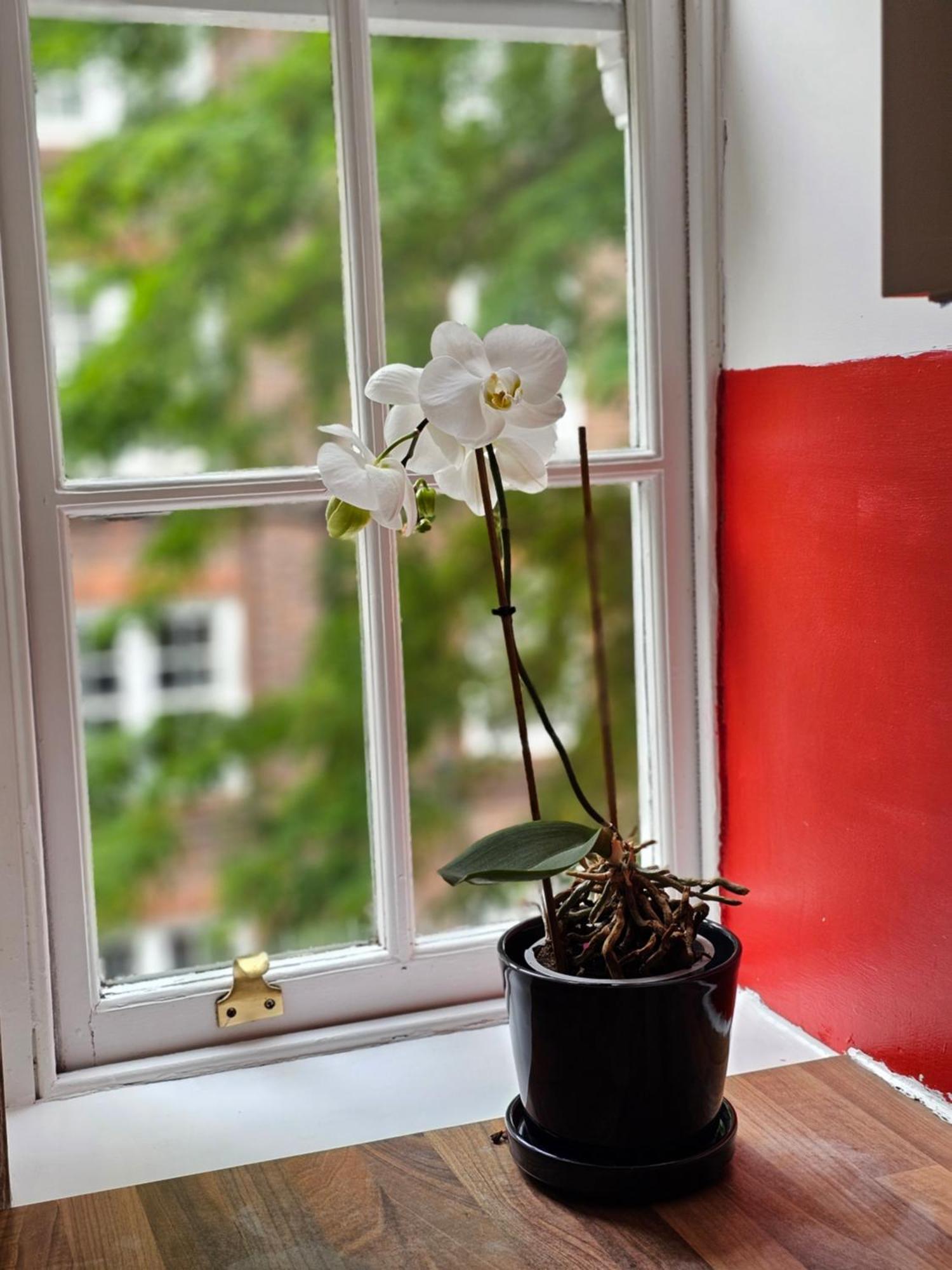 Flat In Hammersmith - Close To Tube Station Apartment London